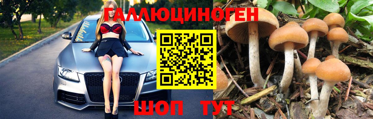 Галлюциногенные грибы Psilocybine cubensis Балабаново