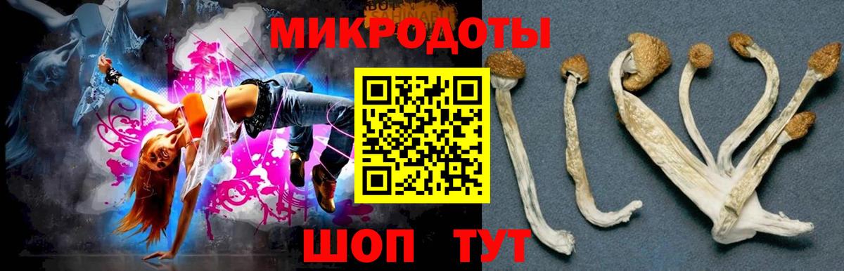 Псилоцибиновые грибы Psilocybine cubensis  Псилоцибиновые грибы Psilocybe  Балабаново  Вход с VPN 
